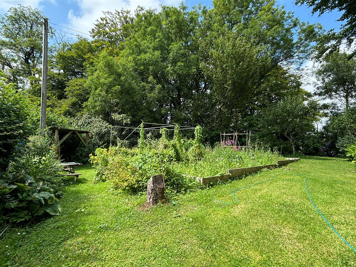 Stoke Abbott, Beaminster